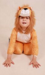 buy kids lion costume singapore