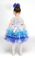 Girls dance dress tutu blue