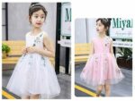 Little Girl Dress Up
