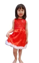 Christmas dress theme For girl, sparkly joy for Christmas Party