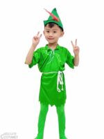 peter pan costume