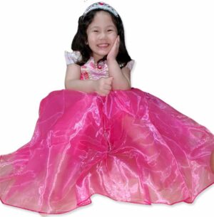 Princess Aurora royal Dress costume