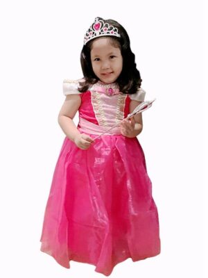 Princess Aurora royal Dress costume