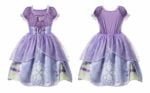 Princess Sofia dress