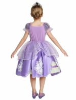 Princess Sofia dress