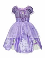 Princess Sofia dress