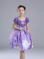 Princess Sofia dress