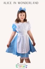 Alice in Wonderland Dress Costume