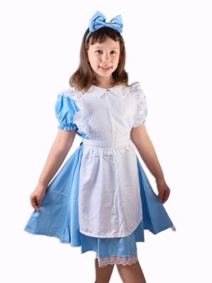 Alice in Wonderland Dress Costume