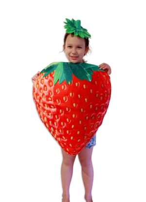 Strawberry Children Costume