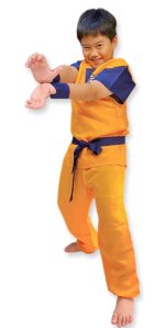 Dragon Ball Z anime series theme costume