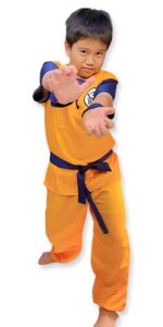 Dragon Ball Z anime series theme costume