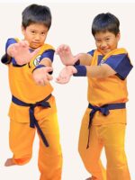 Dragon Ball Z anime series theme costume