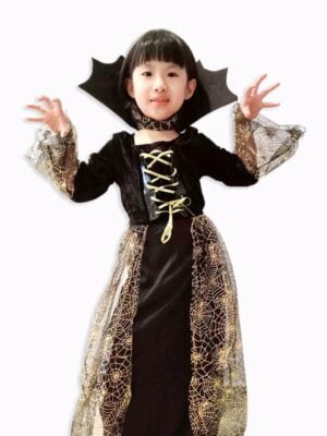 Spider Gold Witch costume