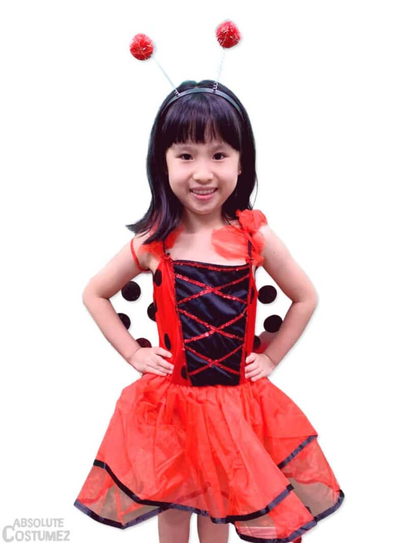 Ladybug in tutu, a delicate and colourful small creature costume