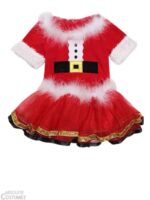 Baby Santarina Dress