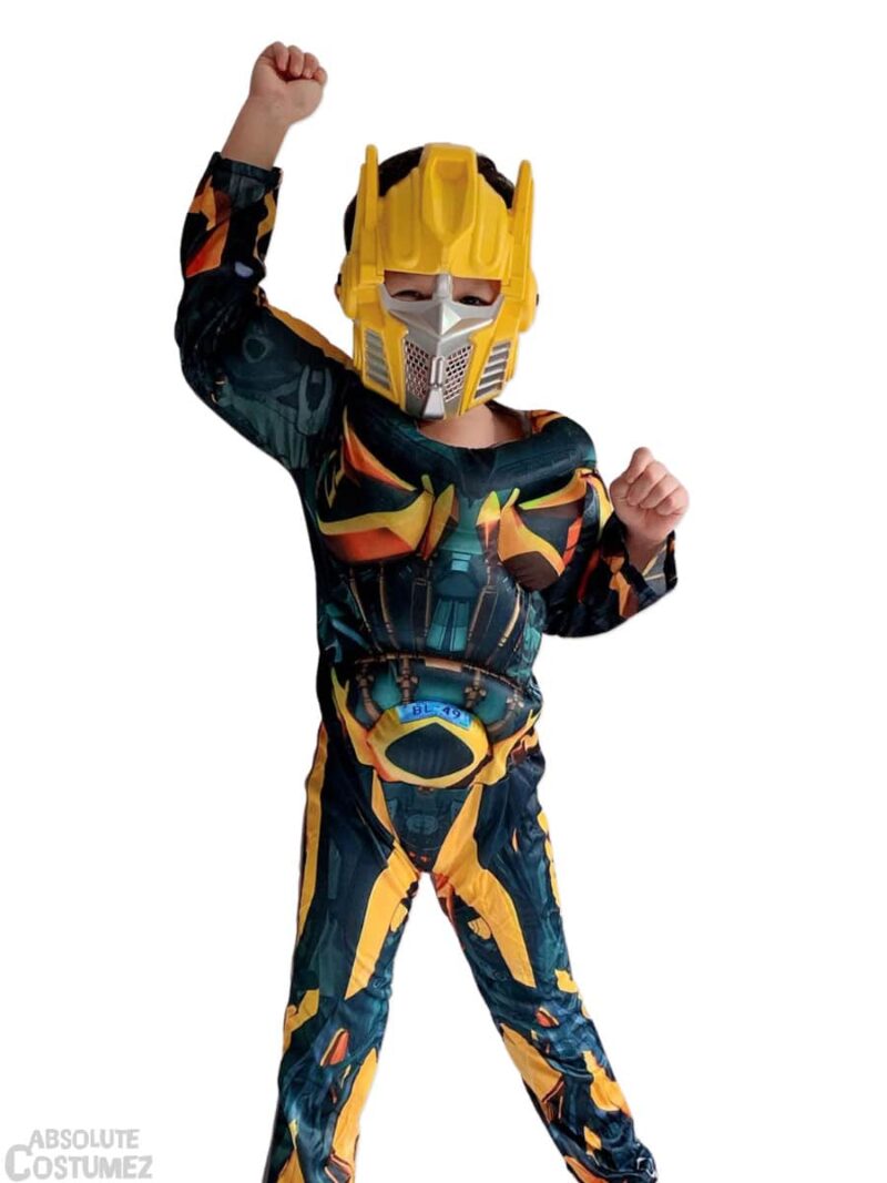 Transformer (Optimus Prime and Bumblebee) kit from the popular film series.