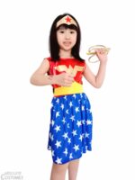 Wonderwoman w Lasso dress kit from the DC Comics universe.