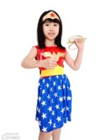 Wonderwoman w Lasso dress kit from the DC Comics universe.