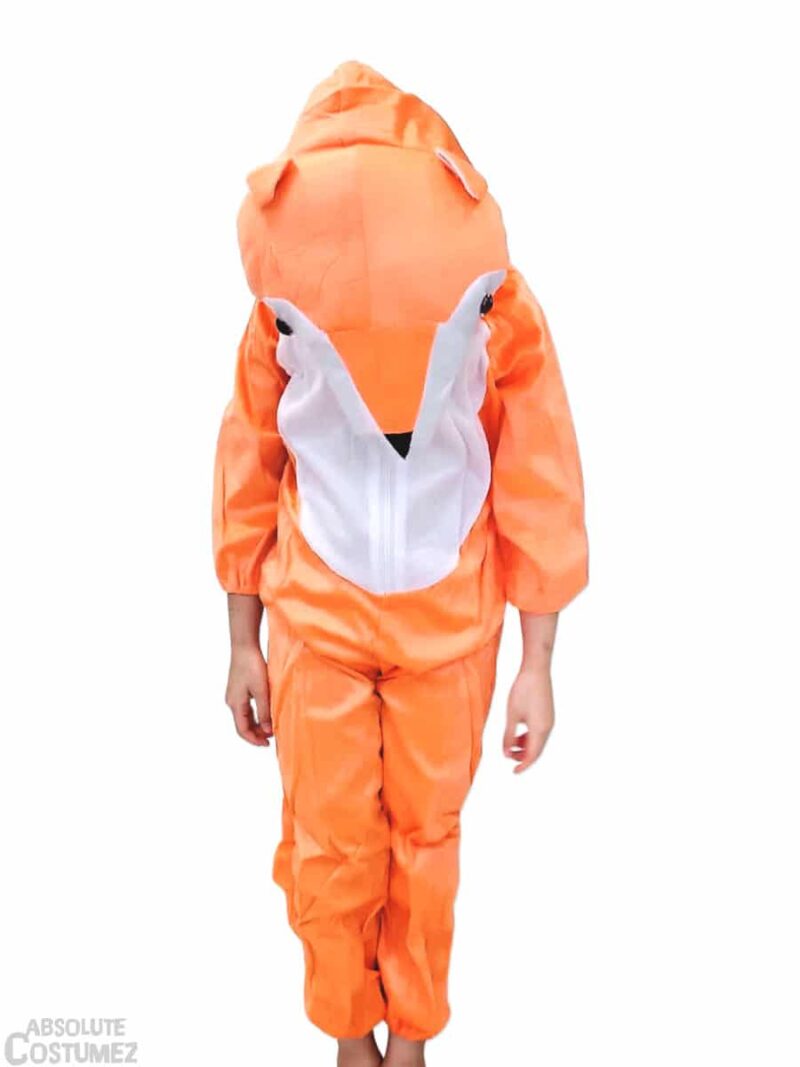 children Fox Costume