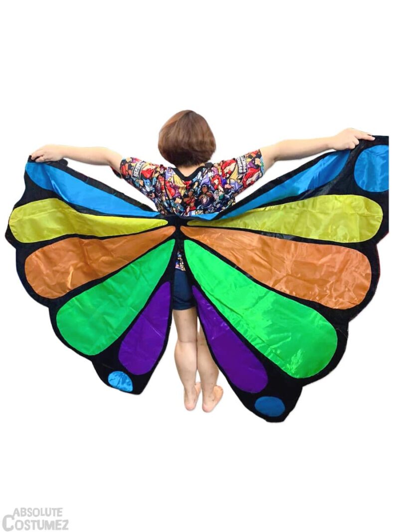 Adult butterfly Costume.