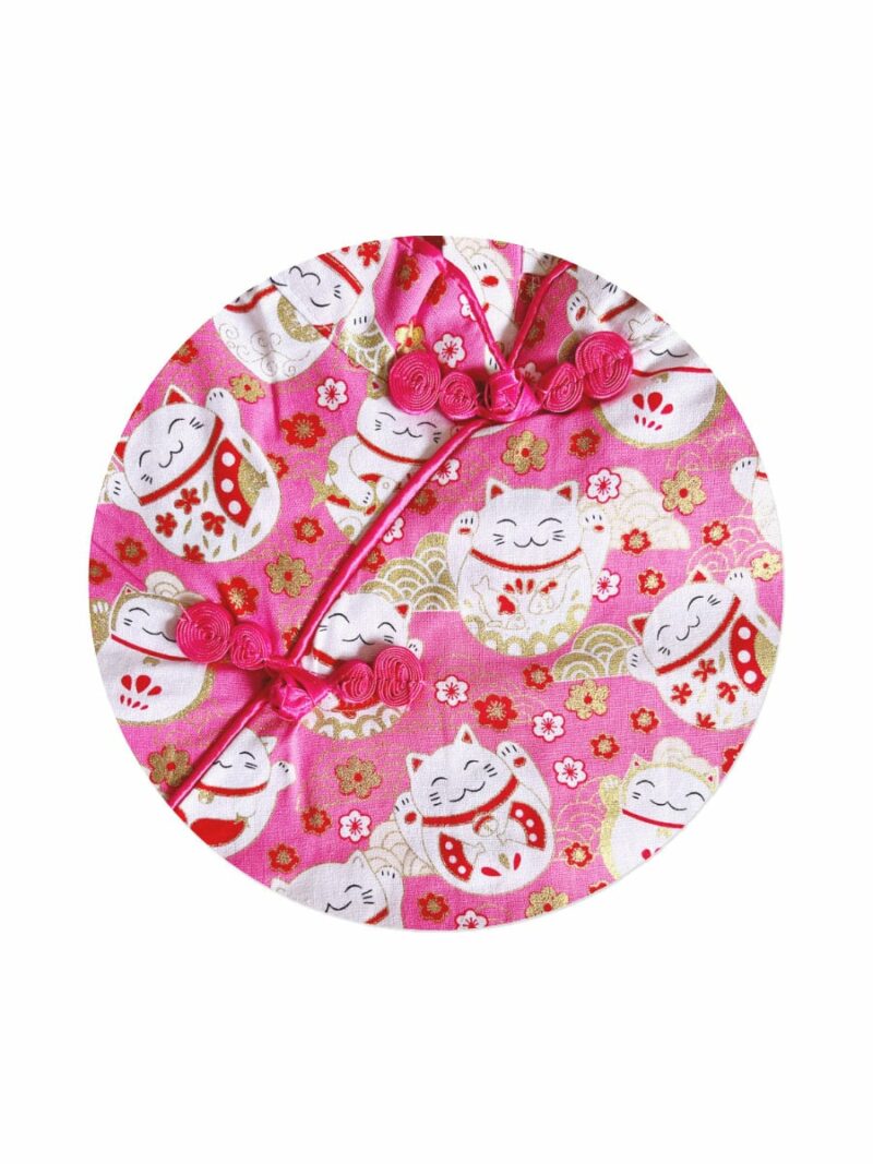 Fortune Kitty Cheongsam a funny dress for lunar New Year 2022