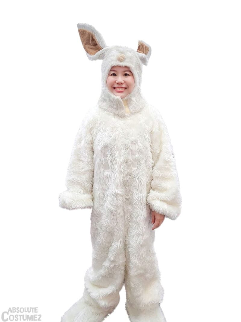 Easter Bunny Adult costume