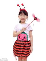 Lady Bug Set costume