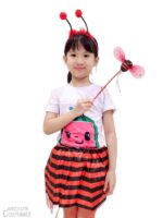 Lady Bug Set costume