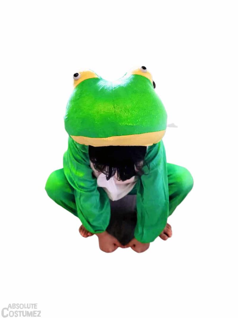 frog Costume for children