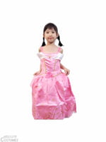 Pretty Princess dress girl singapore