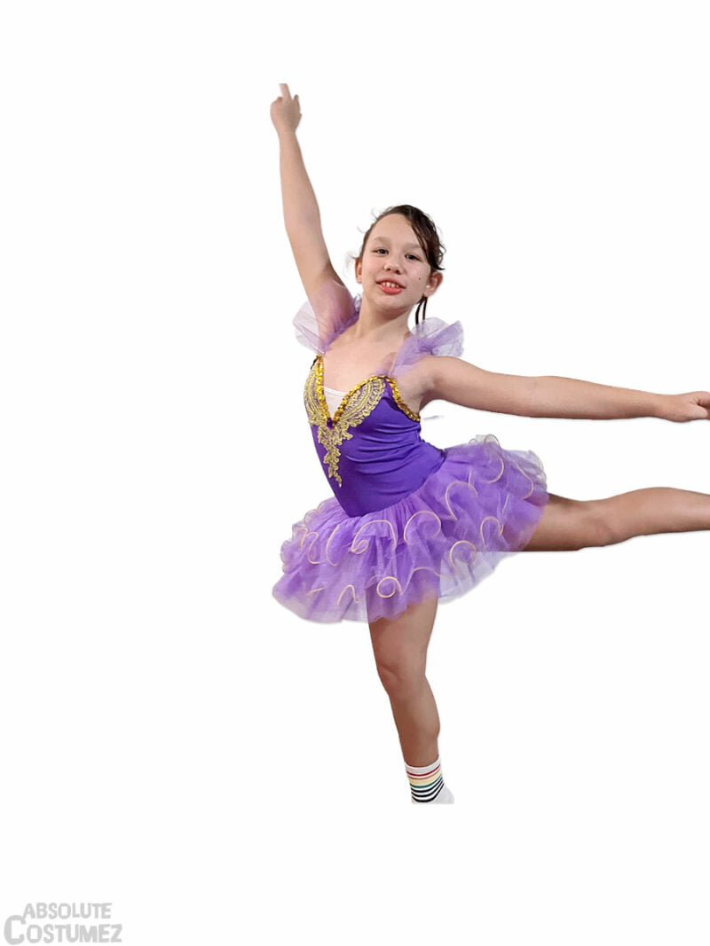 Purple Ballerina dance wear singapore