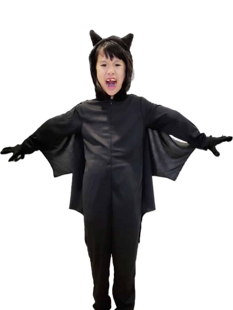 Bat Full Suit • Costume Shop Singapore