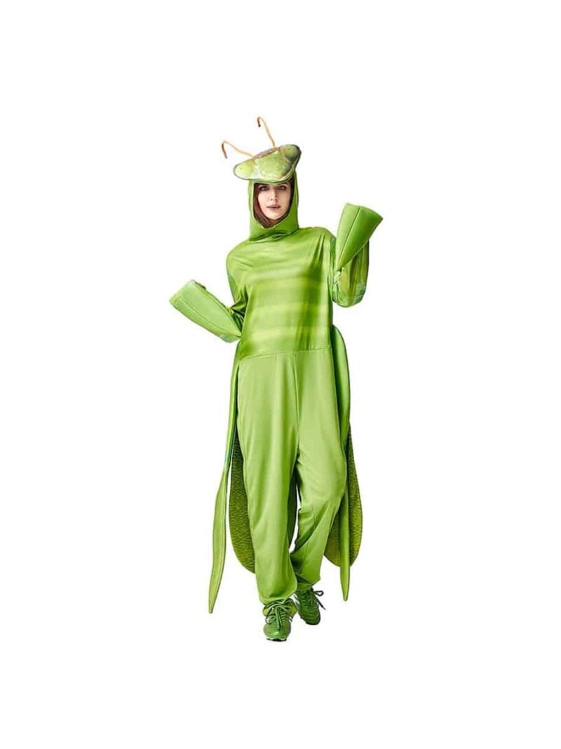 Preying Mantis Adult costume singapore