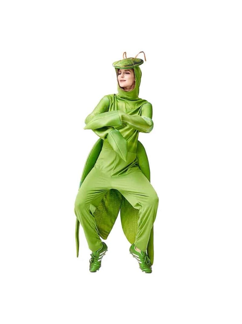 Preying Mantis Adult costume singapore