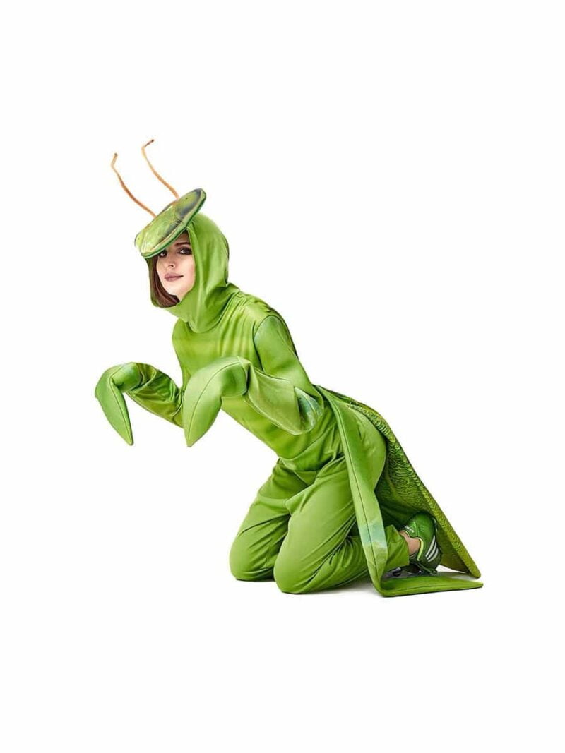 Preying Mantis Adult costume singapore