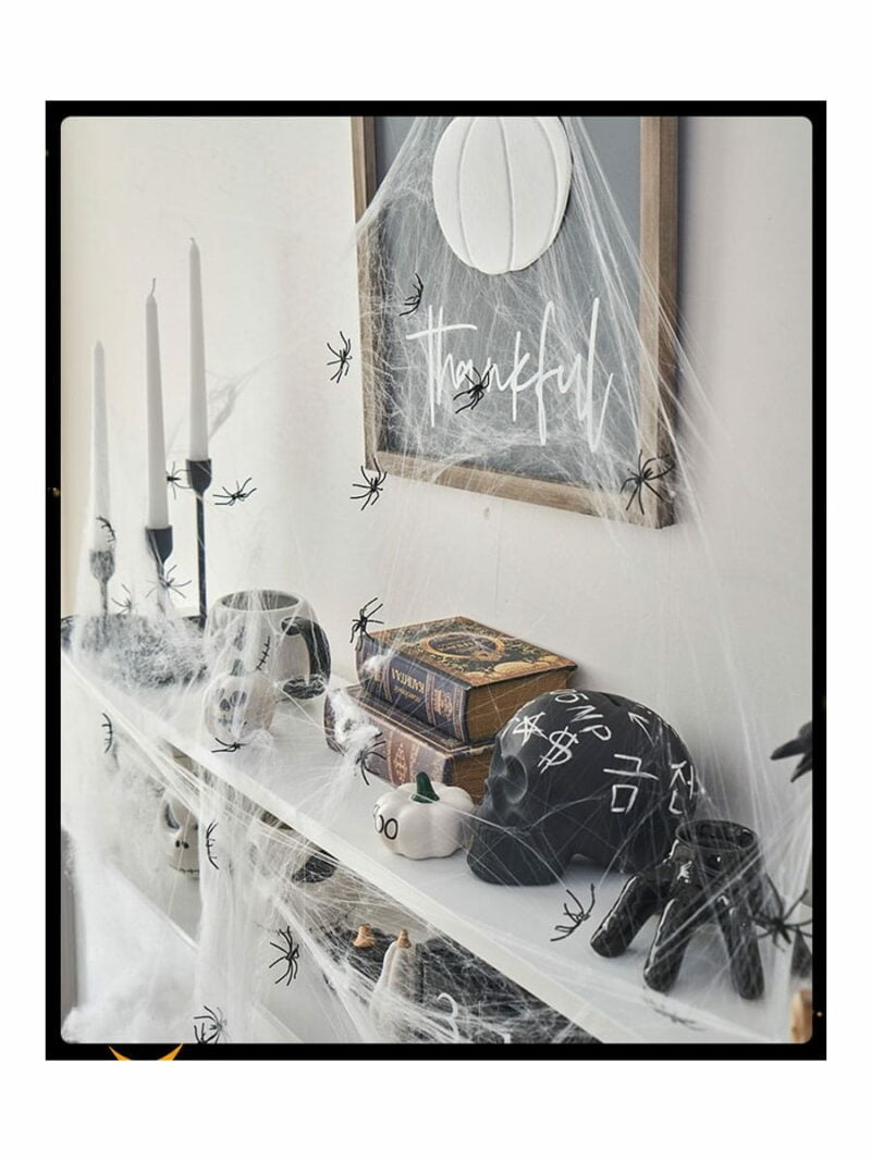 hite Cob Webs Decoration