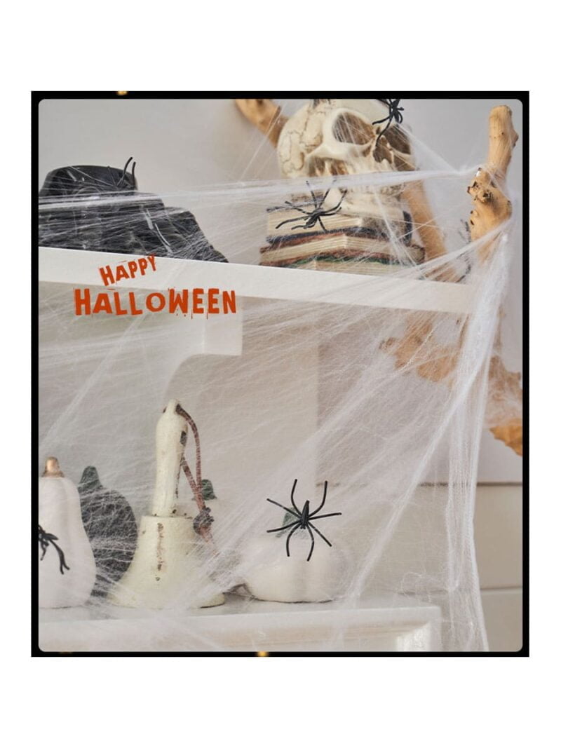 hite Cob Webs Decoration
