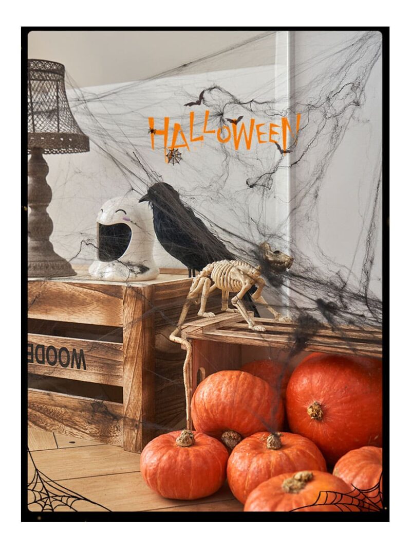 hite Cob Webs Decoration
