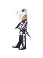 Toddler Dino Skeleton costume Singapore