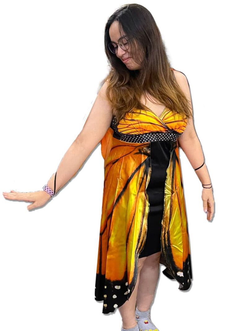 Adult Butterfly singapore costume