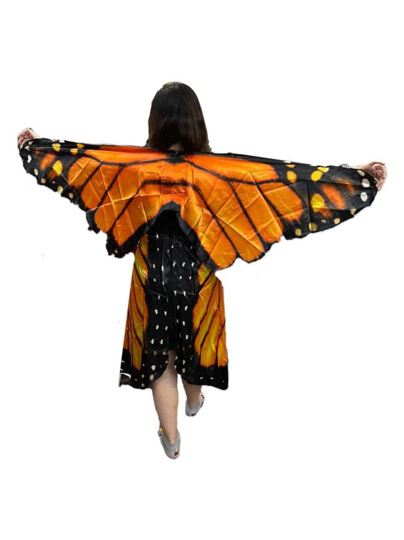 Adult Butterfly singapore costume