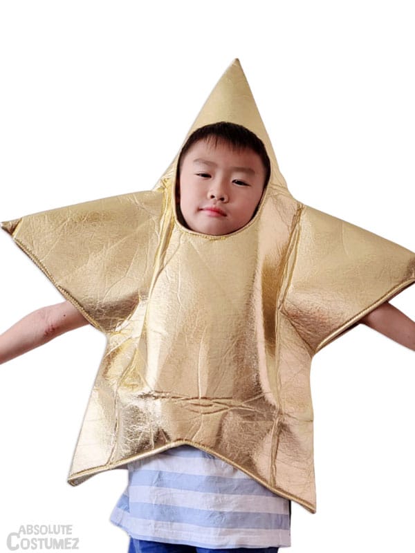 Christmas Star costume singapore