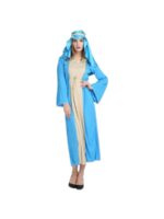 Virgin Mary Adult costume singapore