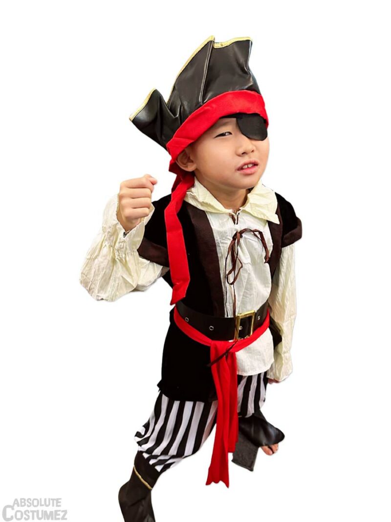 Fancy Pirate Costume Singapore