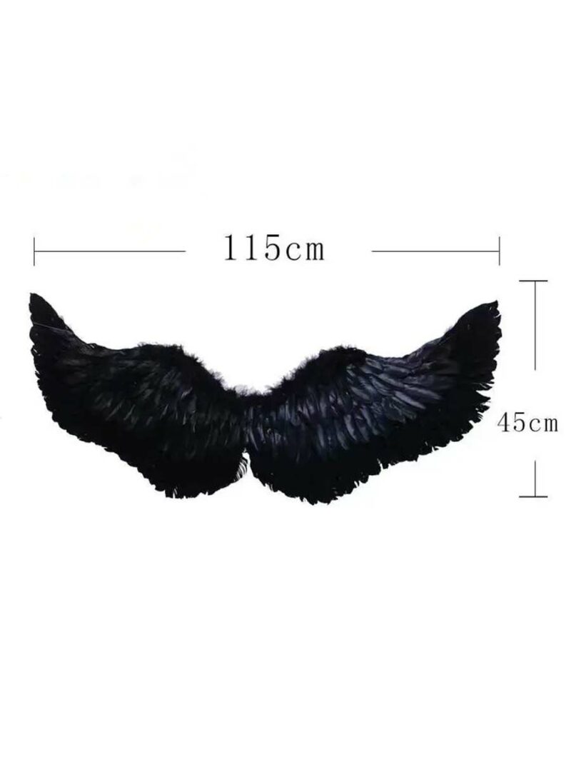 Black Wings costume accessories Singapore