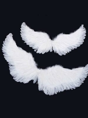 angel wings costueme singapore