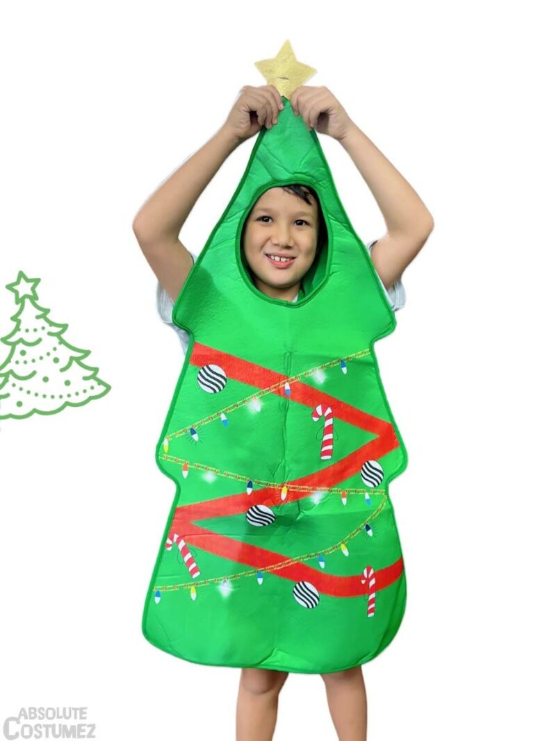 Kids Christmas Tree costume singapore