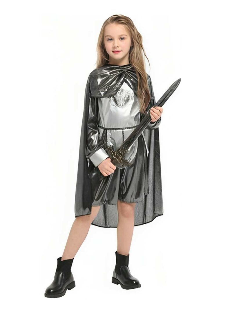 Knight Girl costume singapore