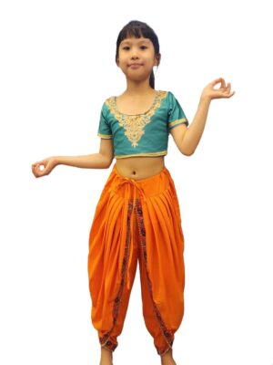 Indian Pants Saree costume singapore
